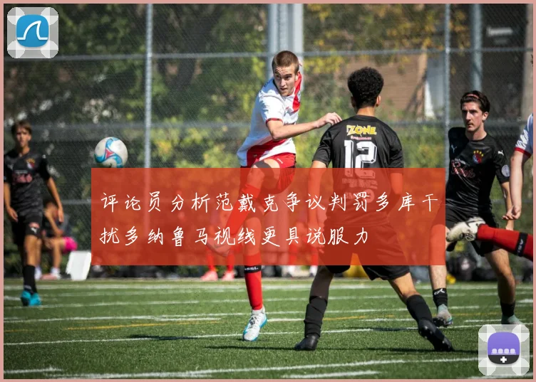 评论员分析范戴克争议判罚多库干扰多纳鲁马视线更具说服力