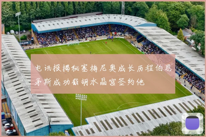 电讯报揭秘塞梅尼奥成长历程伯恩茅斯成功截胡水晶宫签约他